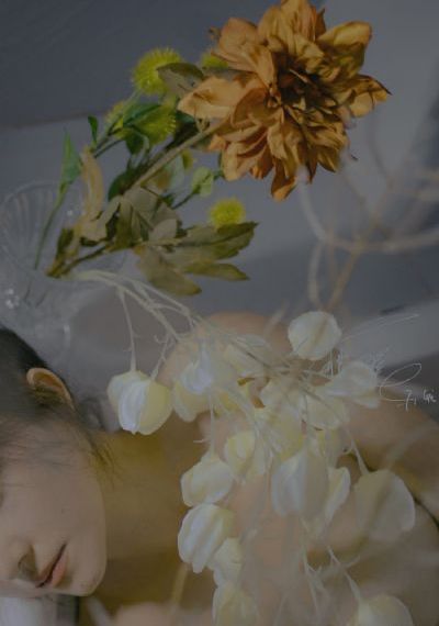 酒店激战第5季什么时候更新_1080P动漫免费观看